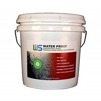 [해외] IWS Water Proof (1 Gallon) Roof and Waterproofing Coating- Easy to Apply - Environmentally Friendly - No VOCs - No Odor